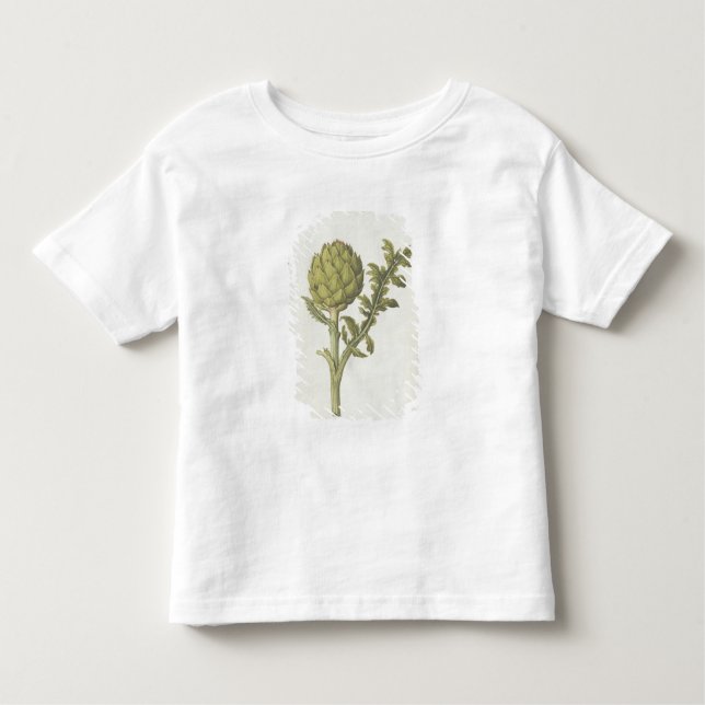 Camiseta Infantil Alcachofra: Scolymus do Cynara, c.1568 (Frente)