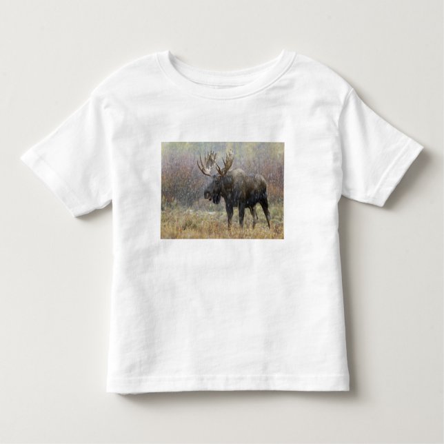 Camiseta Infantil Alce-alce com nevasca (Frente)