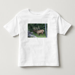 Camiseta Infantil Alce bramando no Parque Nacional Banff, Canadá.