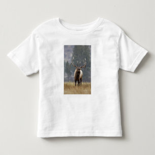 Camiseta Infantil Alce macho buglando, Yellowstone NP, Wyoming 2