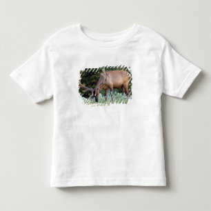 Camiseta Infantil Alce macho com chifres em veludo pastando