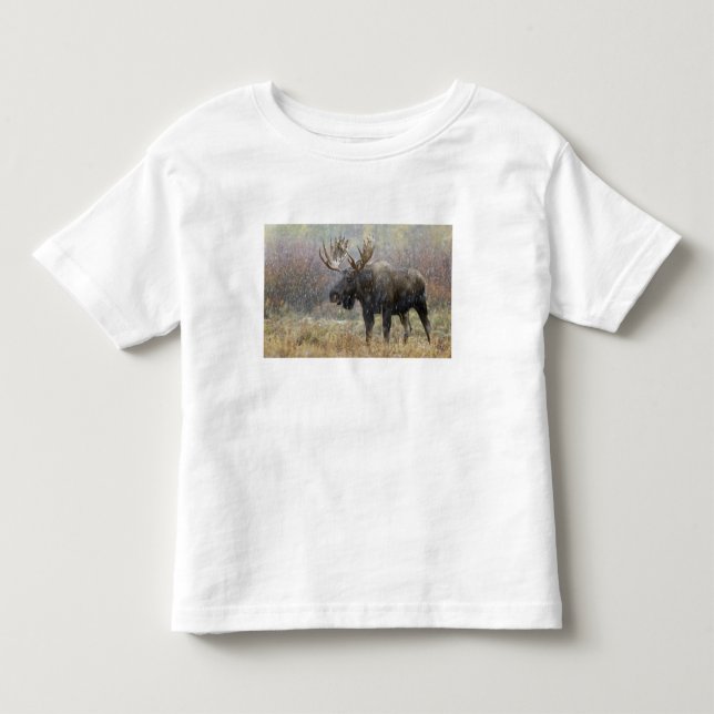 Camiseta Infantil Alce macho em tempestade de neve com árvores de ál (Frente)
