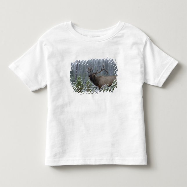 Camiseta Infantil Alce macho na neve chamando, bugling, Yellowstone (Frente)