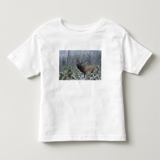 Camiseta Infantil Alce macho na neve chamando, bugling, Yellowstone (Frente)