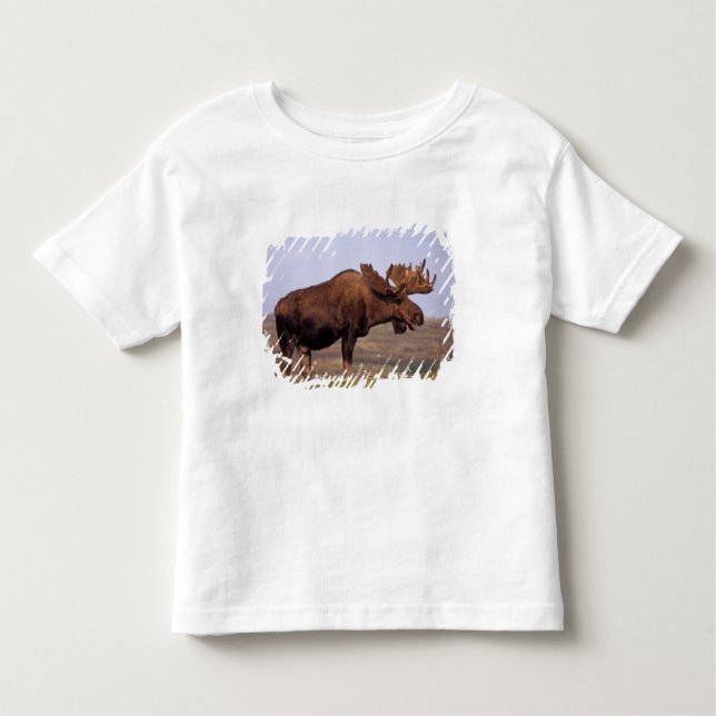 Camiseta Infantil alces alces alces, touro com grandes galhadas (Frente)