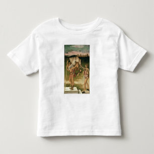 Camiseta Infantil Alegoria da sabedoria (óleo no painel)
