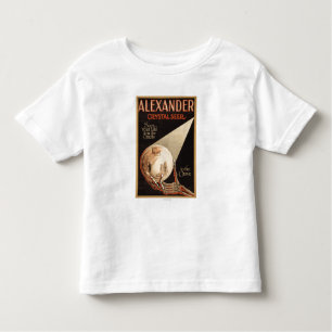 Camiseta Infantil Alexander, "berço de cristal" à mágica grave