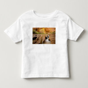 Camiseta Infantil Algodões no Outono, Coyote Gulch, Glen