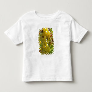 Camiseta Infantil Algumas Chasselas na vinha - plantadas há muito te
