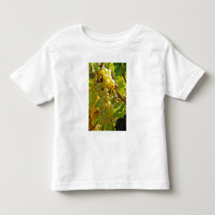 Camiseta Infantil Alguns Chasselas na vinha - plantados há muito tem
