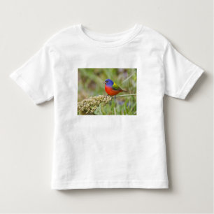 Camiseta Infantil Alimentos para machos pintados (Passerian ciris)