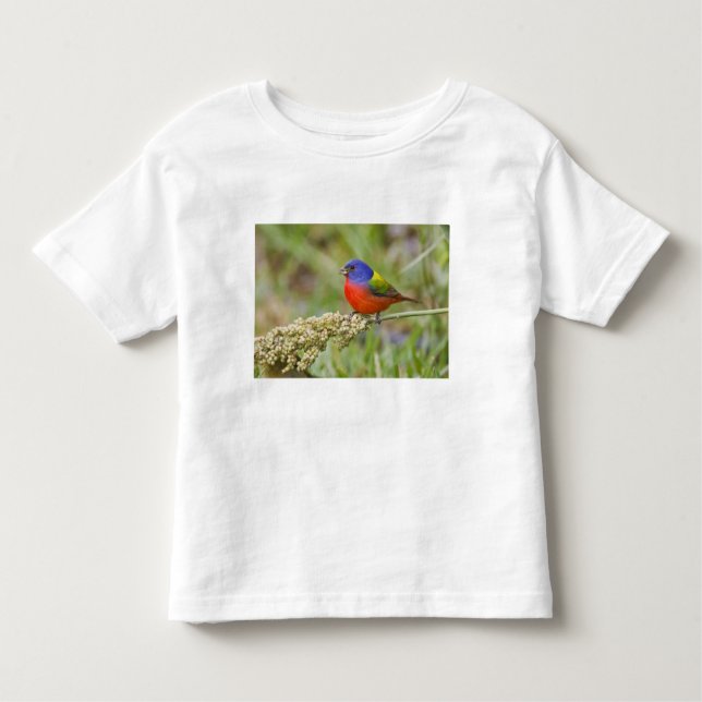 Camiseta Infantil Alimentos para machos pintados (Passerian ciris) (Frente)