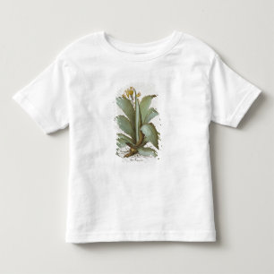 Camiseta Infantil Aloés americano: Americana do aloés, 'do Hortus 