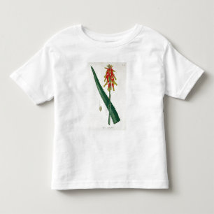 Camiseta Infantil Aloés de "Phytographie Medicale" por Joseph Roque