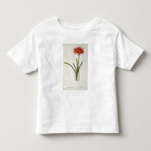 Camiseta Infantil Amaryllis Curvifolia, 1809, do ` Les