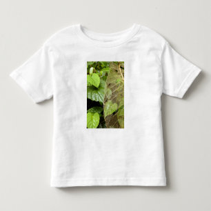 Camiseta Infantil América Central, Costa Rica, Sarapiqui, Braulio