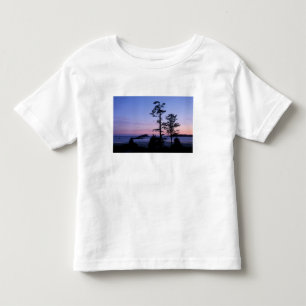 Camiseta Infantil América do Norte, Canadá, Ilha de Vancouver, árvor
