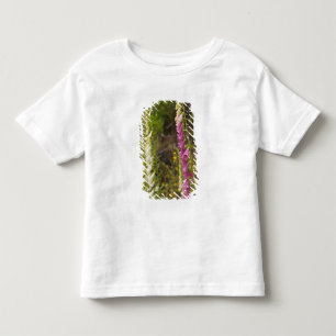 Camiseta Infantil América do Norte, Canadá, Ilhas Queen Charlotte, 2