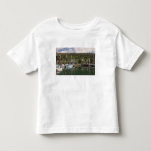 Camiseta Infantil América do Norte, Canadá, Ilhas Queen Charlotte, 4