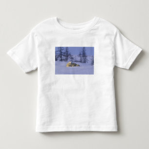 Camiseta Infantil América do Norte, Canadá, Manitoba, Churchill