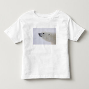Camiseta Infantil América do Norte, Canadá, Manitoba, Churchill. 6