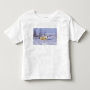 Camiseta Infantil América do Norte, Canadá, Manitoba, Churchill. 9