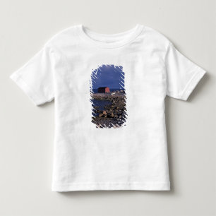 Camiseta Infantil América do Norte, Canadá, Terra Nova, Gros Morne