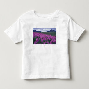 Camiseta Infantil América do Norte, Canadá, Yukon. Fireweed floresce