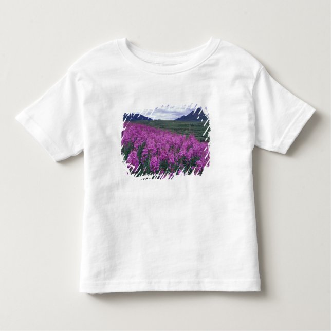 Camiseta Infantil América do Norte, Canadá, Yukon. Flores de mata (Frente)