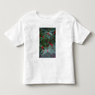 Camiseta Infantil América do Norte, Estados Unidos, Nova Inglaterra.