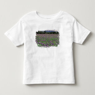 Camiseta Infantil América do Norte, EUA, Alasca, Anchorage, Eklutna