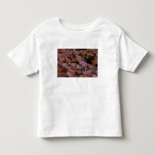 Camiseta Infantil América do Norte, EUA, Alasca, Delta do Yukon Naci
