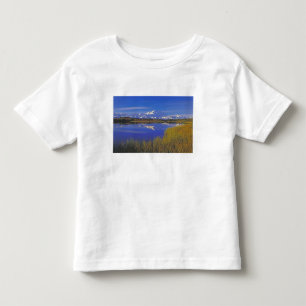 Camiseta Infantil América do Norte, EUA, Alasca, Parque Nacional Den