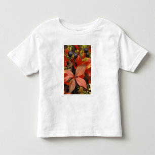 Camiseta Infantil América do Norte, EUA, Alasca, Parque Nacional Den