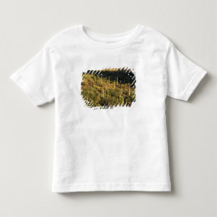 Camiseta Infantil América do Norte, EUA, Arizona, Deserto de Sonora