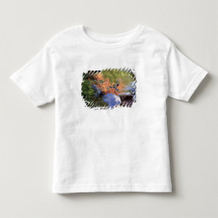 Camiseta Infantil América do Norte, EUA, Arizona, Havasu Canyon, 3
