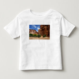 Camiseta Infantil América do Norte, EUA, Arizona, Navajo Indian 5