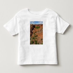 Camiseta Infantil América do Norte, EUA, Arizona, Navajo Indiano