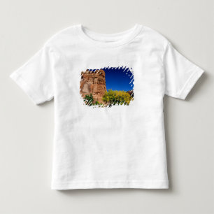 Camiseta Infantil América do Norte, EUA, Arizona, Navajo Indiano 3