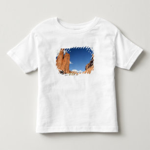 Camiseta Infantil América do Norte, EUA, Arizona, Navajo Indiano 4