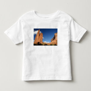 Camiseta Infantil América do Norte, EUA, Arizona, Navajo Índio 4