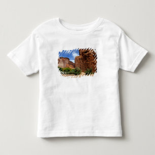 Camiseta Infantil América do Norte, EUA, Arizona, Navajo Índio 5