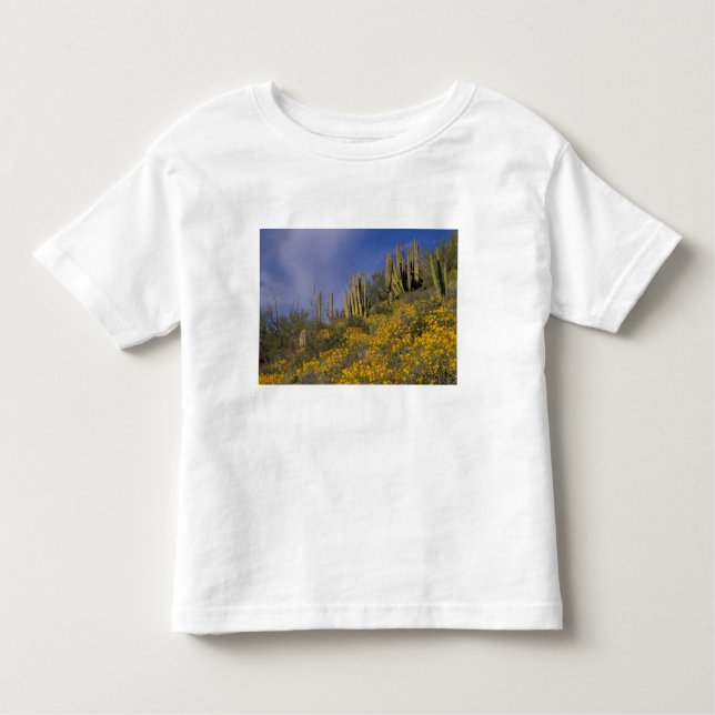 Camiseta Infantil América do Norte, EUA, Arizona, Organ Pipe Cactus (Frente)