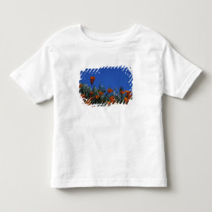 Camiseta Infantil América do Norte, EUA, Califórnia, Antelope Vall