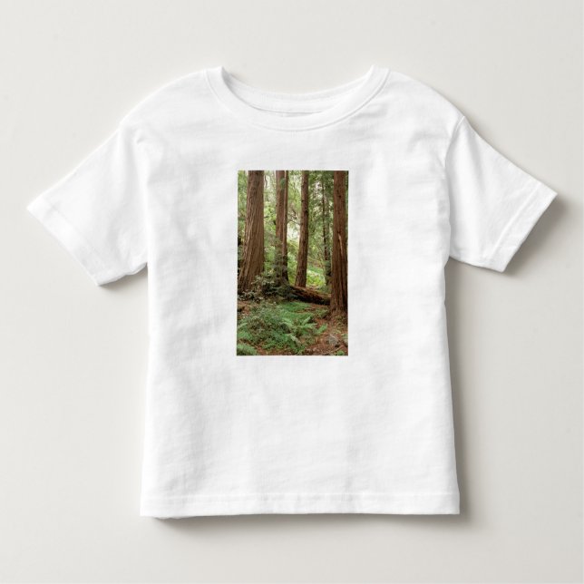 Camiseta Infantil América do Norte, EUA, Califórnia, Big Sur, (Frente)