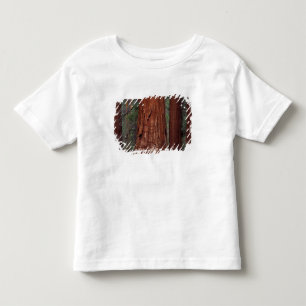 Camiseta Infantil América do Norte, EUA, Califórnia, PN Yosemite, 2