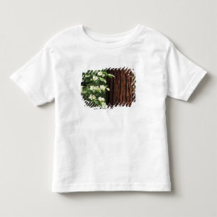 Camiseta Infantil América do Norte, EUA, Califórnia, Yosemite 3