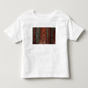 Camiseta Infantil América do Norte, EUA, Califórnia, Yosemite NP, 2