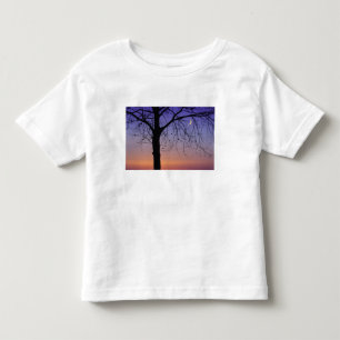 Camiseta Infantil América do Norte, EUA, Flórida, Mt. Dora, o