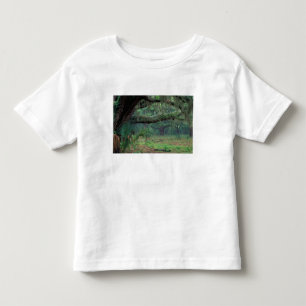 Camiseta Infantil América do Norte, EUA, Geórgia, Cumberland